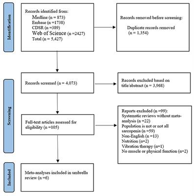 Effects of Exercise on Patients Important Outcomes in Older People With Sarcopenia: An Umbrella Review of Meta-Analyses of Randomized Controlled Trials